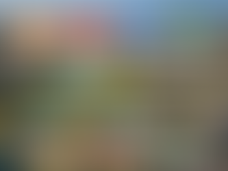 What Is the Fulshear, TX Housing Market Doing in 2026?