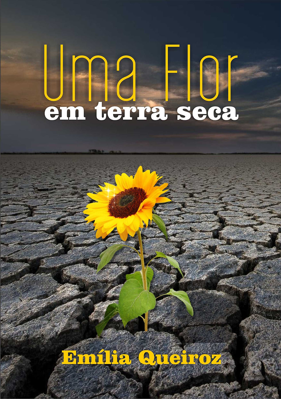 Uma flor em terra seca