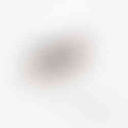 Coyote on the hunt for what appears to be his night time meal. The coyote has a dusting of snow on his coat and he trudges through the snow hunting.