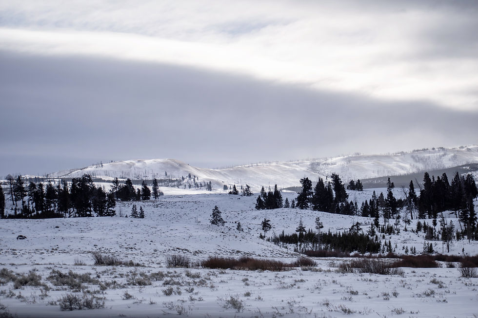 What looks like a dusting of snow is actually much deeper than it appears. The sprawling panoramic view of Yellowstone National Park covered in snow and frost is something to experience once in your lifetime.