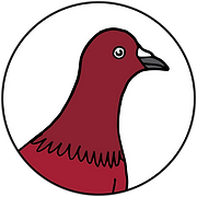 Red Pigeon Media