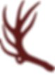 vecteezy_ai-generated-antlers-png-isolated-on-trandsdssparent-background_35982495.png