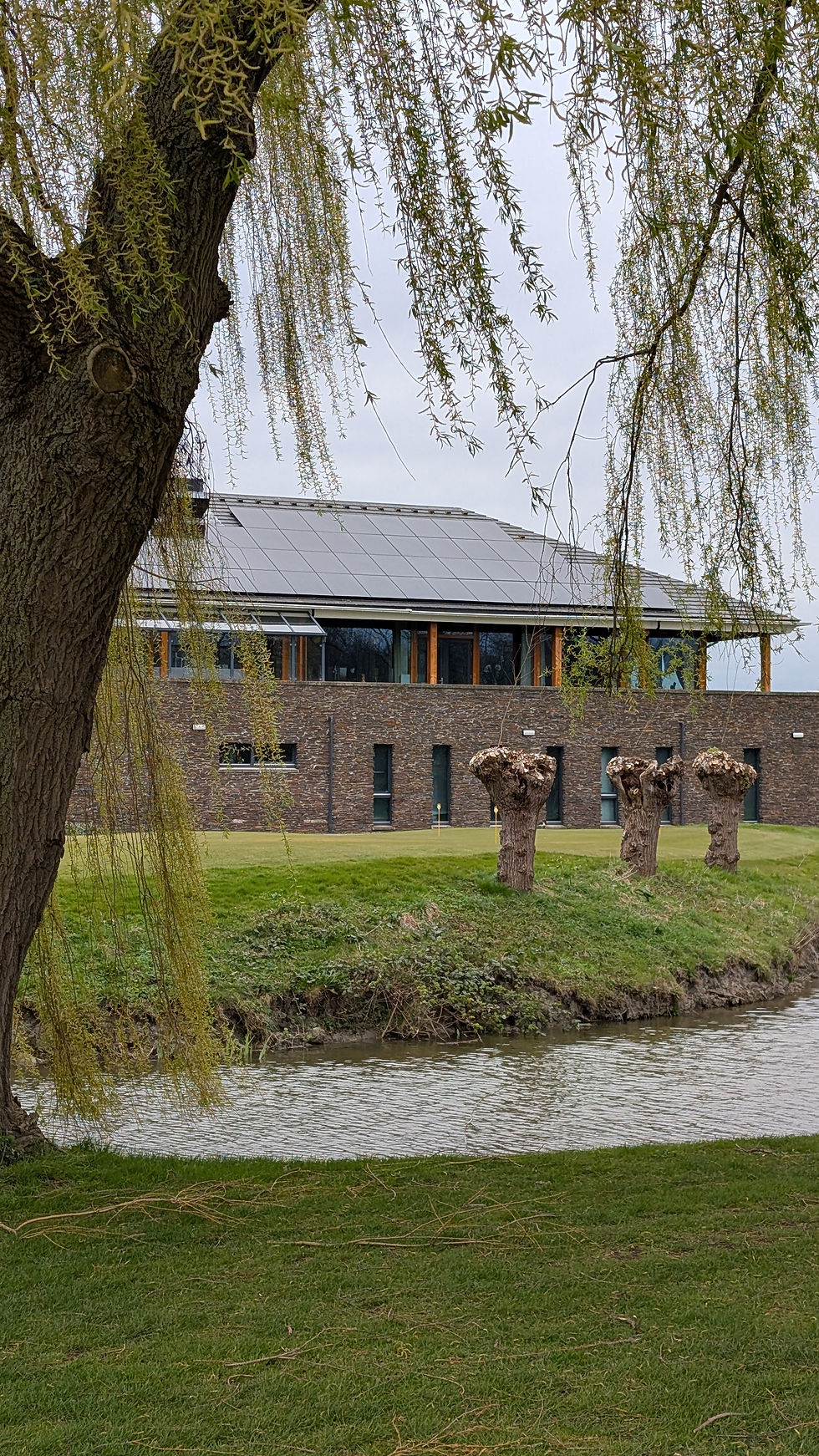 Modern clubgebouw aan het water met een treurwilg.