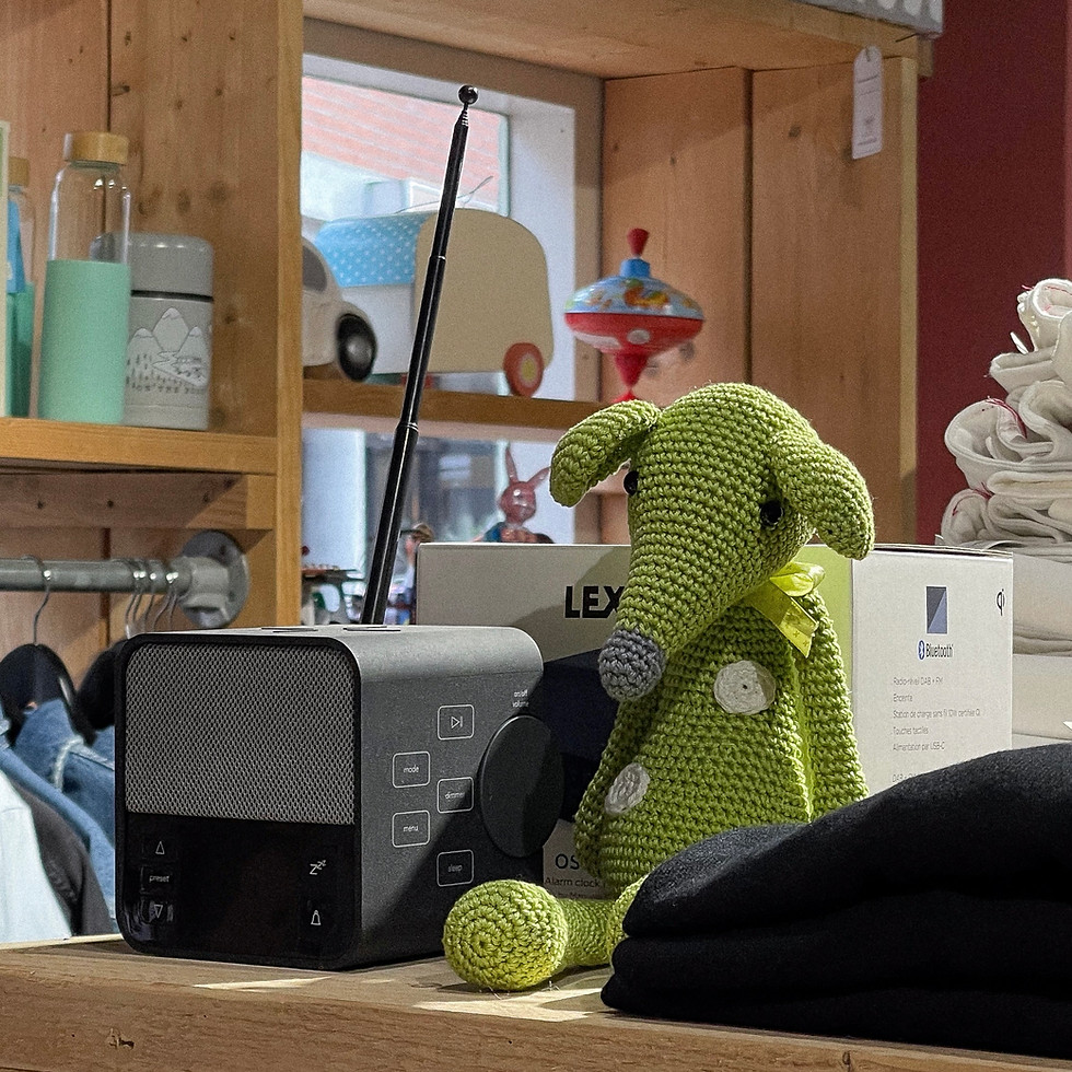 Grijze radio en groen knuffeldier op plank