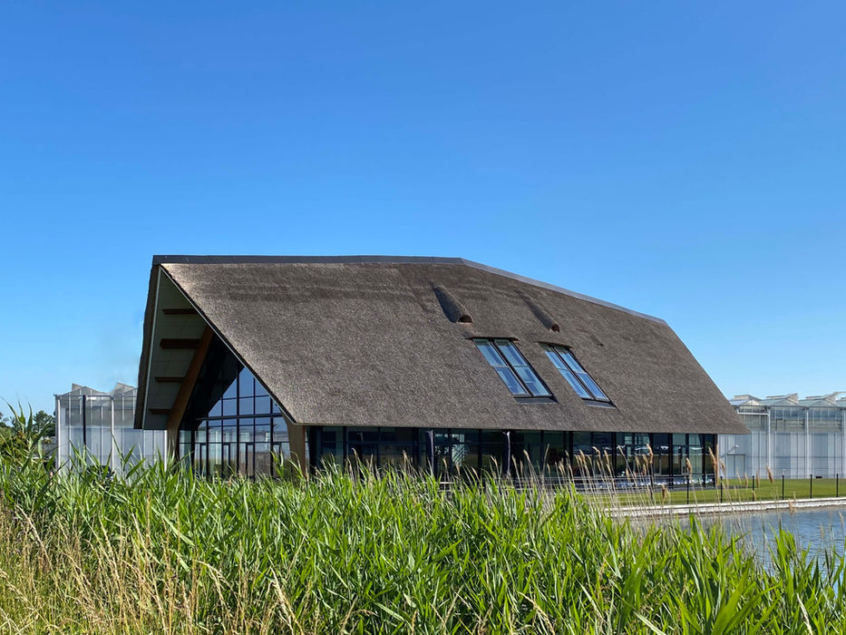Modern huis met rieten dak aan het water onder een blauwe lucht.