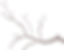 Branchpng_edited.png