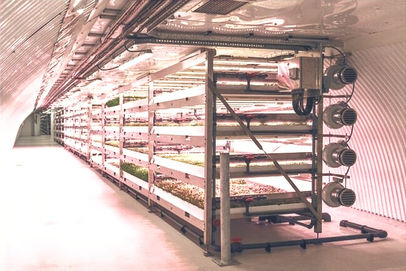 BIF Resin Flooring Vertical Farm