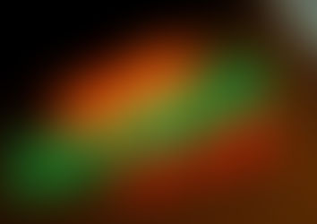 South Florida Favorites