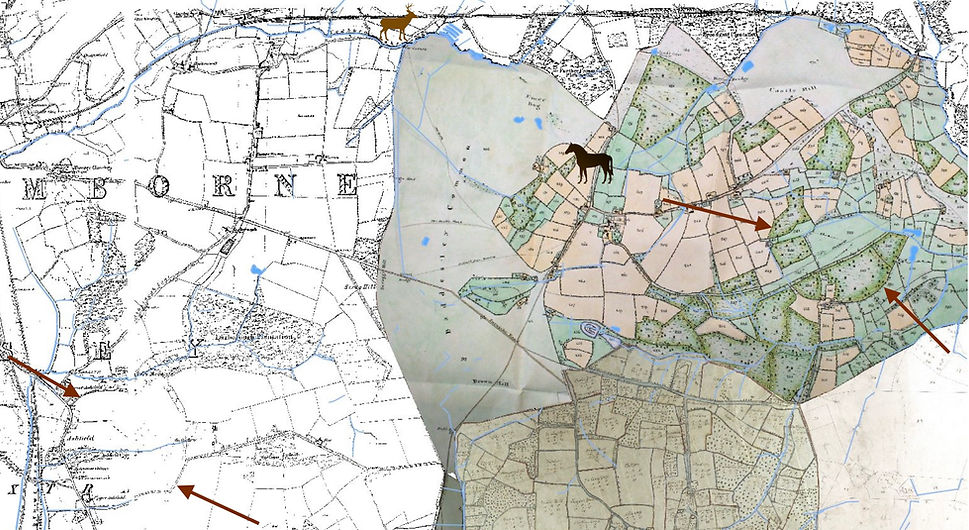 Saxon oval cattle enclosures at Romsey and North Baddesley