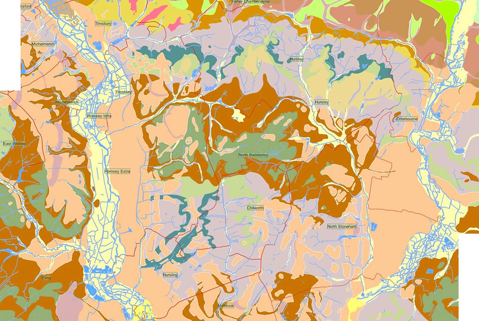 Hampshire Basin geology