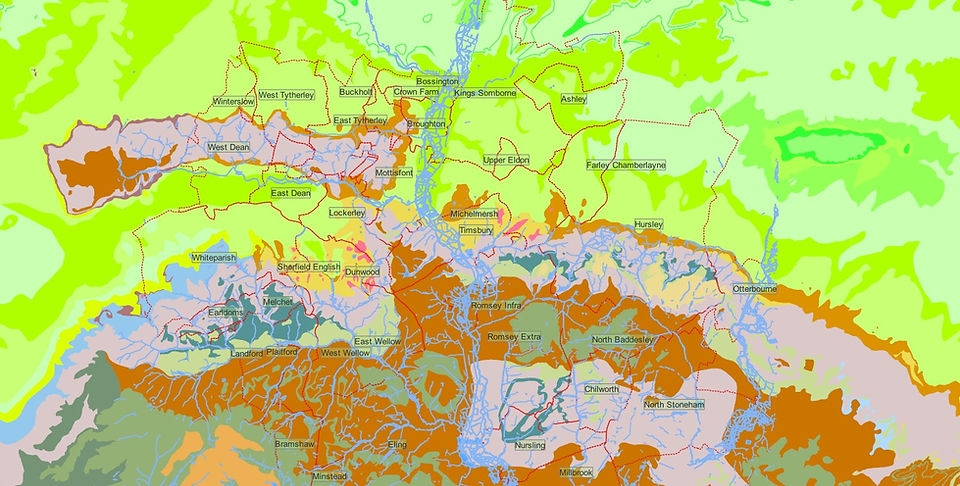 Hampshire Basin geology