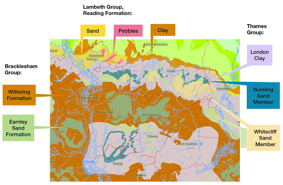 Hampshire Basin geology