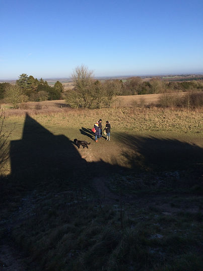 View from Farley Mount