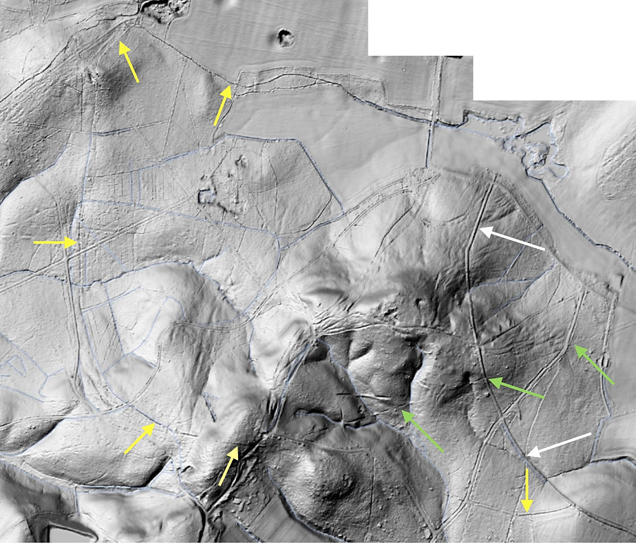 Hursley Park & Ampfield Wood LiDAR