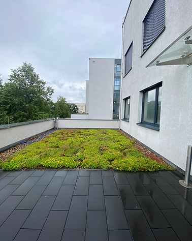 Immobilienbewertung Berlin Adlershof