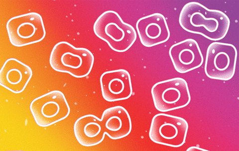 INSTAGRAM GROWTH GIPHY.gif