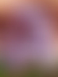 Εσύ, ο Εαυτός σου και οι Άλλοι