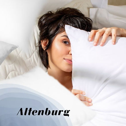 mini-banner-altenburg.jpg