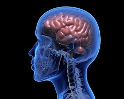 The "Stroke of Genetics"