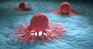 Do - THE STAR - limab?