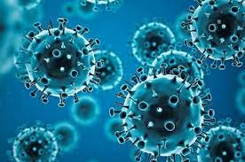 Covid-19 and Its Effect on Children