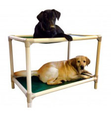 Almond Pvc Chew Proof Indestructible Bunk Bed Kuranda Top Dog Supplies