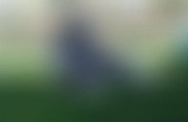 3 Foods To Keep Away From Your Dog