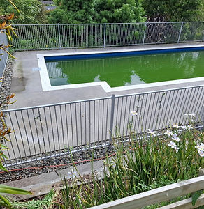 before pool.jpg