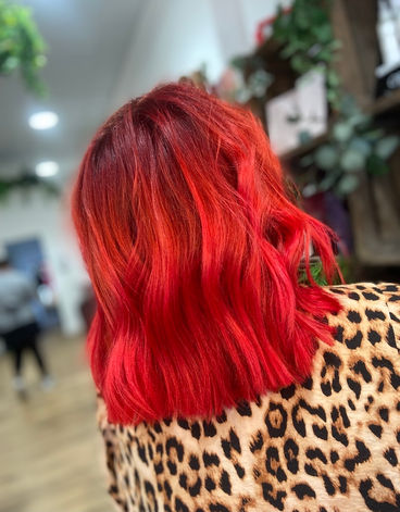 hair colour paisley