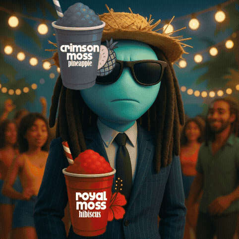 Adobe Express Tools Available