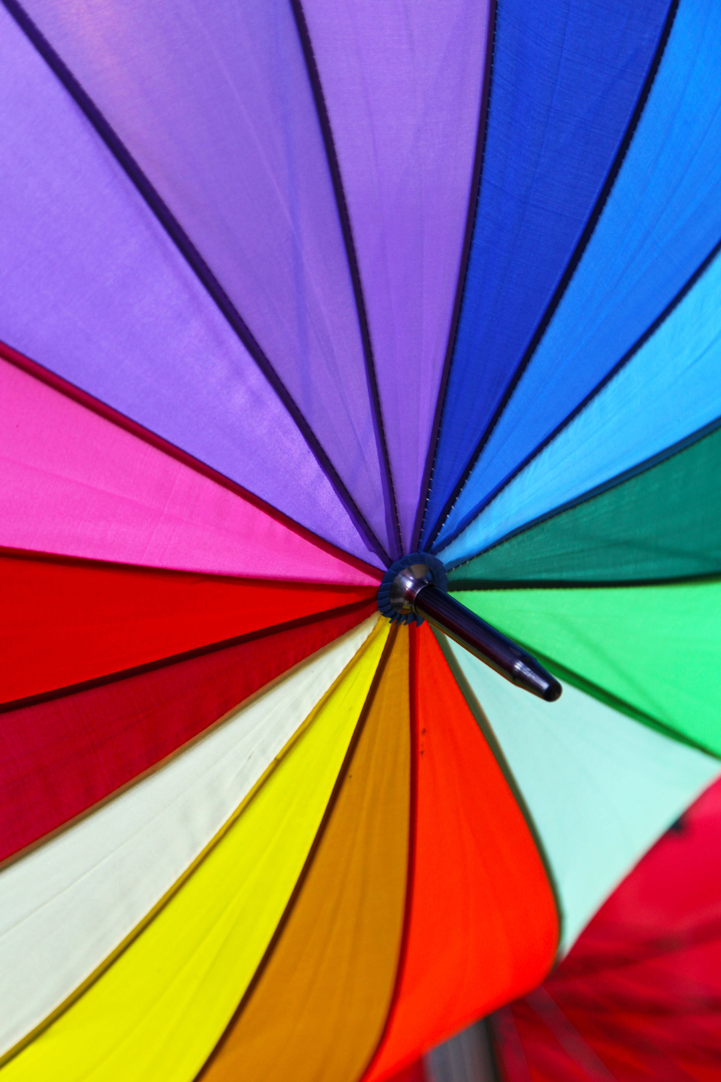 Colour Therapy Editable Training Manual