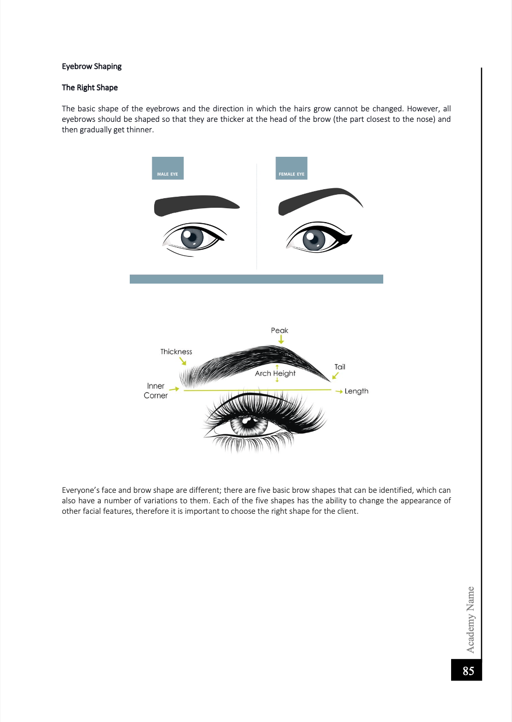 Microblading Editable Training Manual