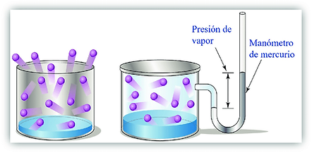 presion de vapor.png