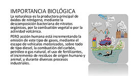 los_ÃXIDOS_BIOLOGICOS.jpg
