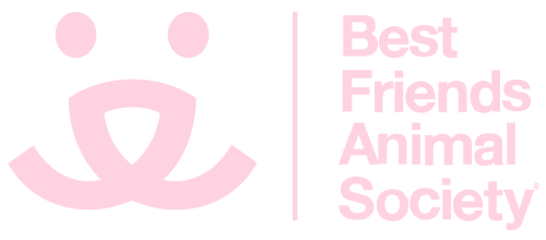 bfas_logo_footer.png