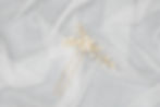 CHANTELLE | BEADED BRIDAL HAIR PIN