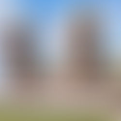 Recipients of a 2nd Texas A&M Health Seedling Grant