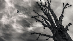 Flight_03