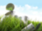 ลงในช่อง ABOUT.jpg