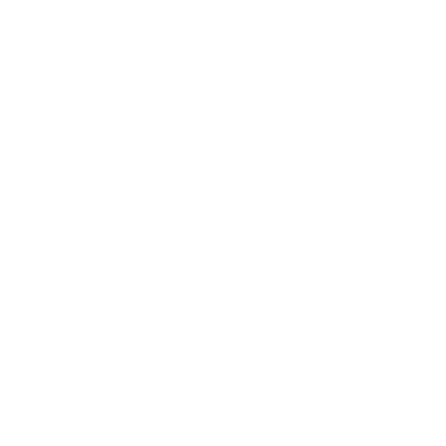 ALPHASEC LOGO