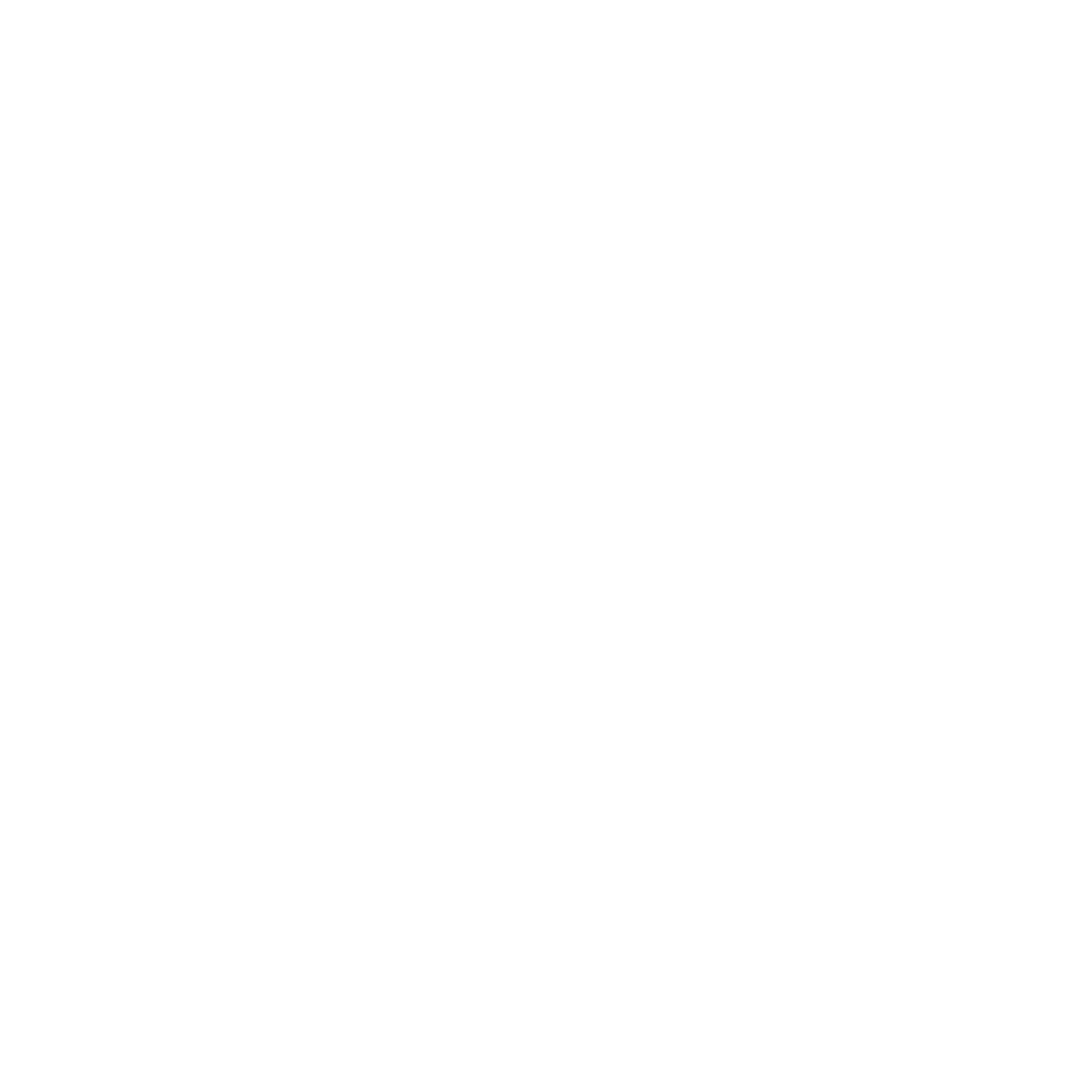 maxperts-white-logo.png