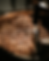 9.png
