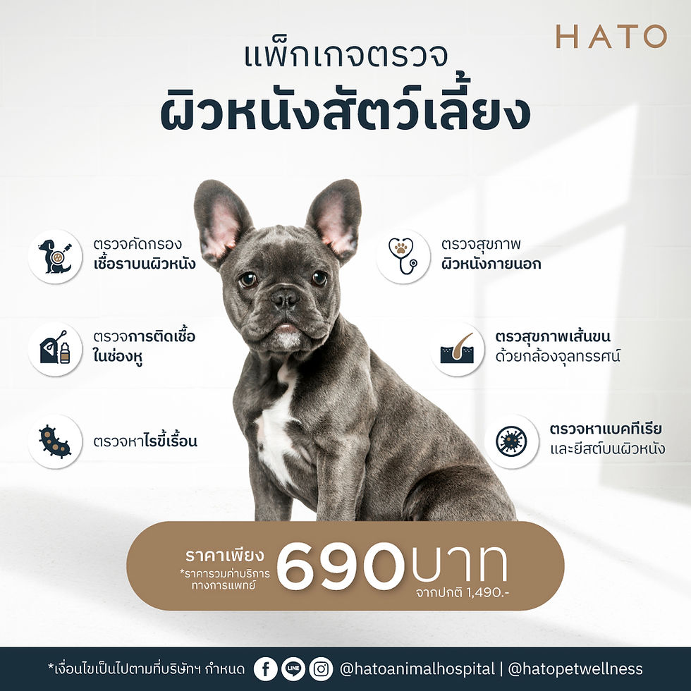 Skin Health Check Package for Dogs & Cats