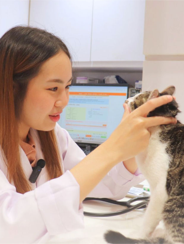 Veterinarian.jpg