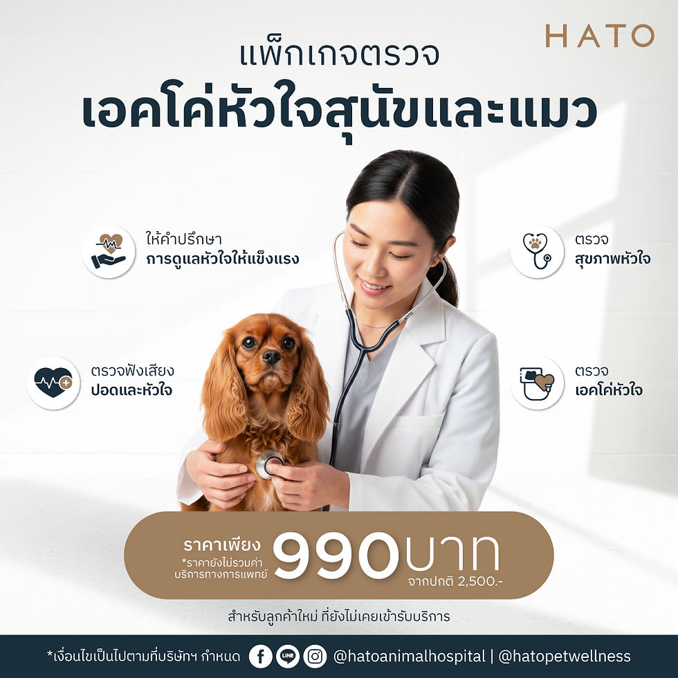 Cardiac Echocardiography Package for Dogs & Cats