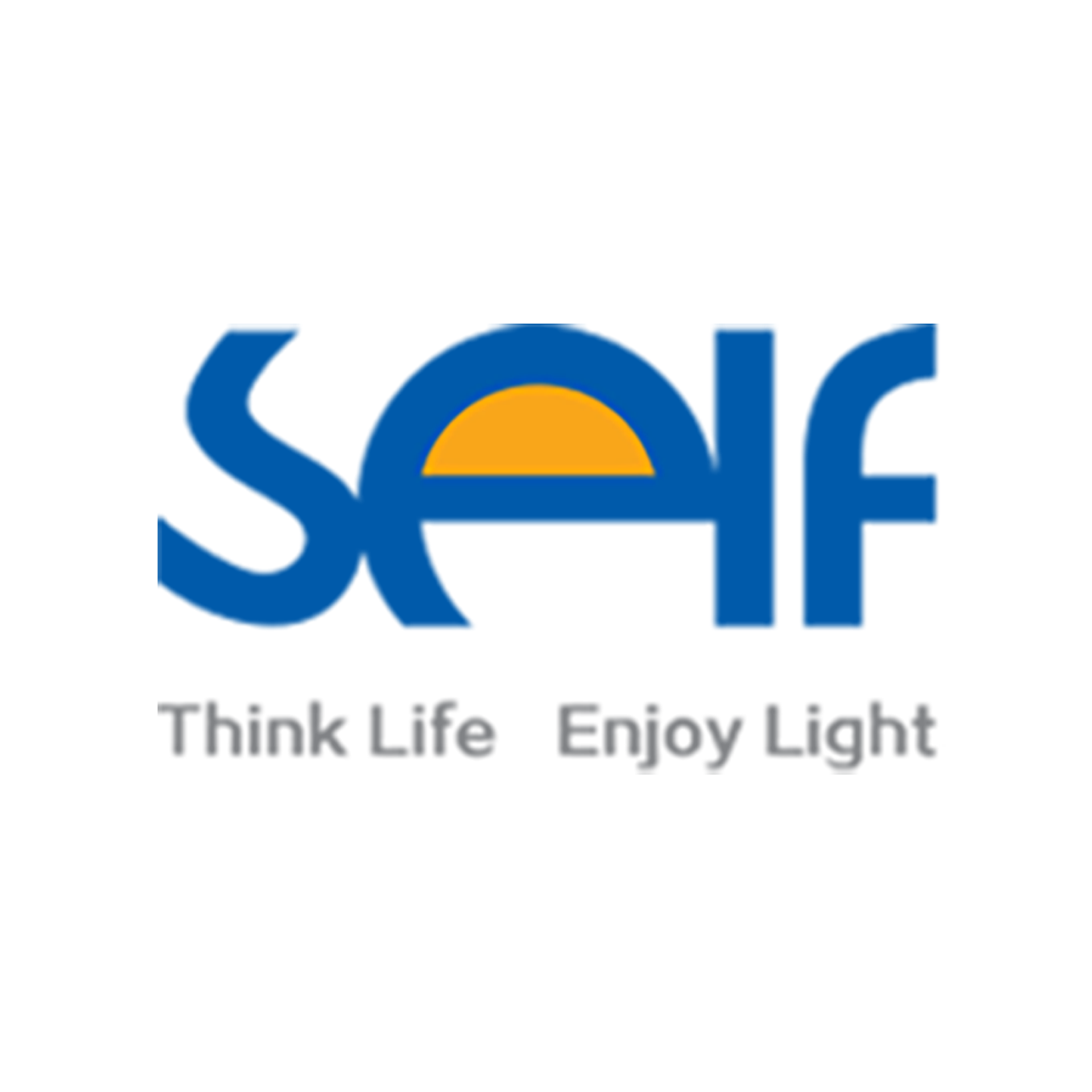 รูปปก SALF.png