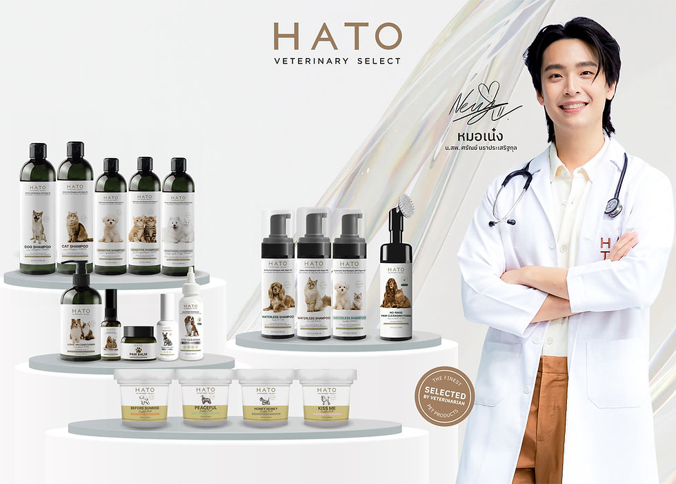 01.26.2026 HATO Web site_Banner_1734x1240-02.jpg