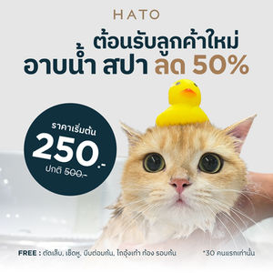 New Customer Promotion! 50% Off Your First Bath at HATO