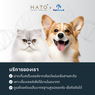 Stem Cells: A Sustainable Approach to Lifelong Pet Health