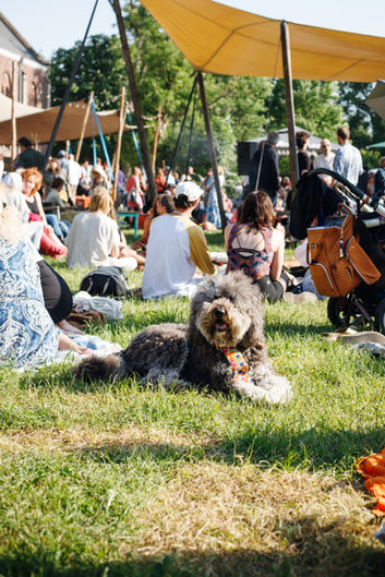 Spinvis op Ruigoord by Lisa Hussaarts105.jpg